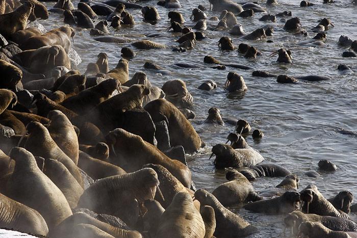027_Chukotka