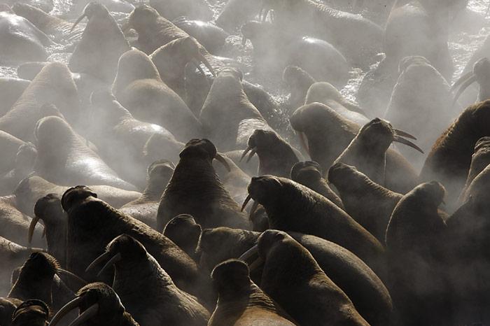 029_Chukotka