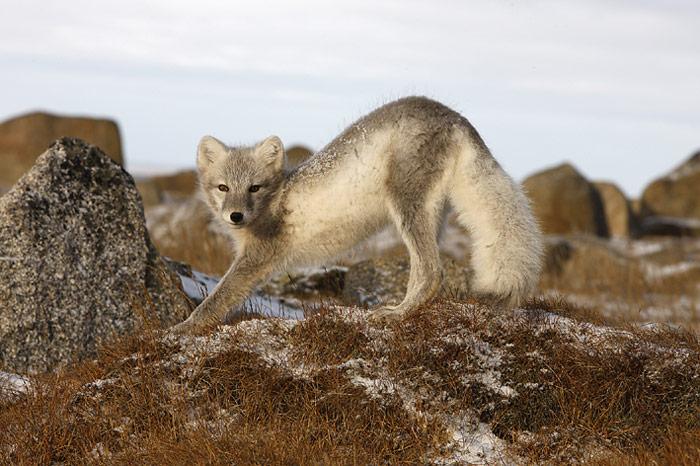 030_Chukotka